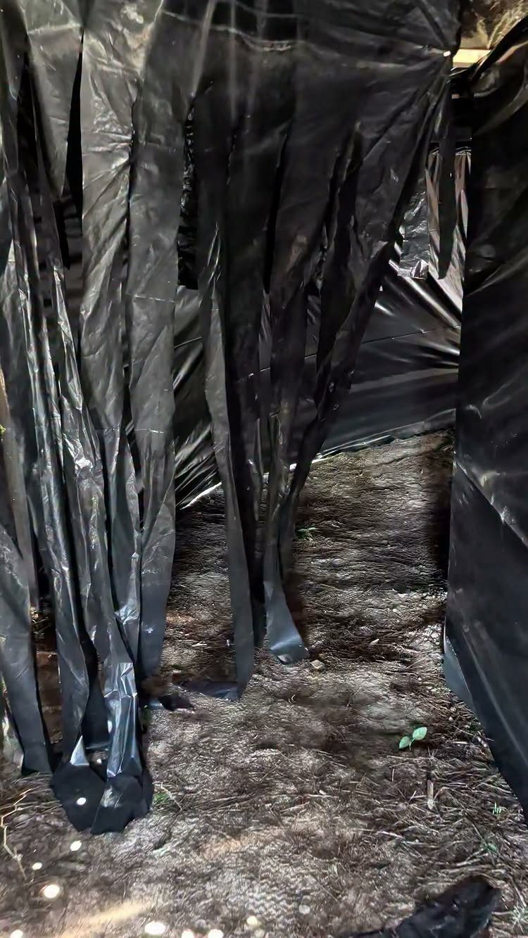 Black plastic shredded curtains hanging over a dirt path for a spooky setting.