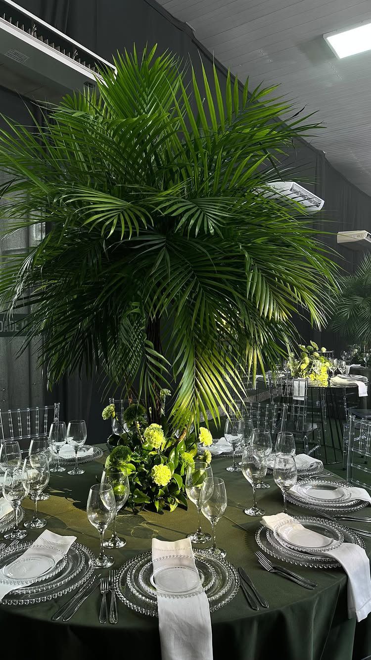 Round dining table with dark green cloth and a large palm plant centerpiece.