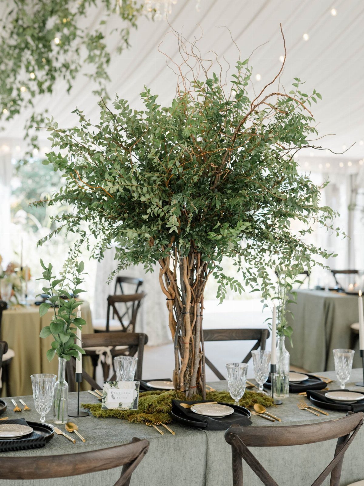 Tall tree branch and greenery centerpiece on a formally set dining table.
