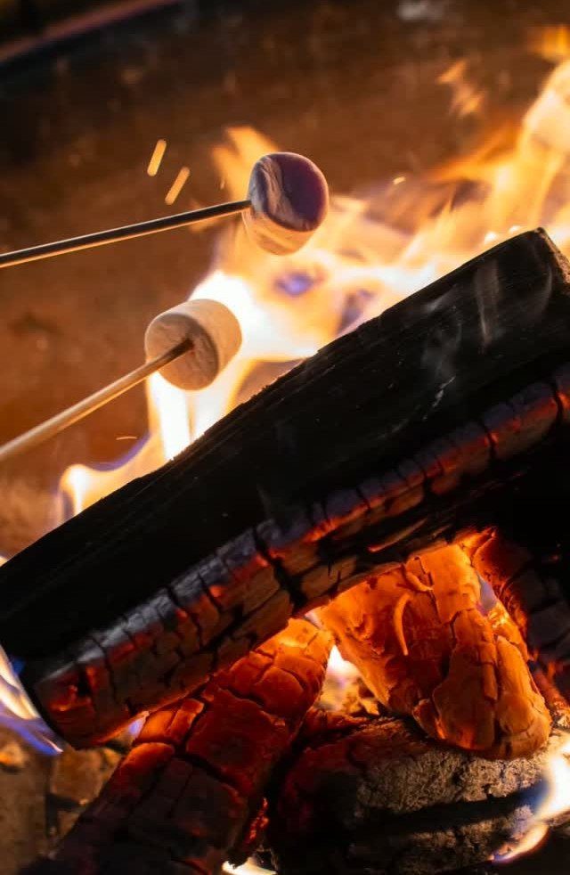 Marshmallows on skewers roasting over a glowing campfire with burning logs