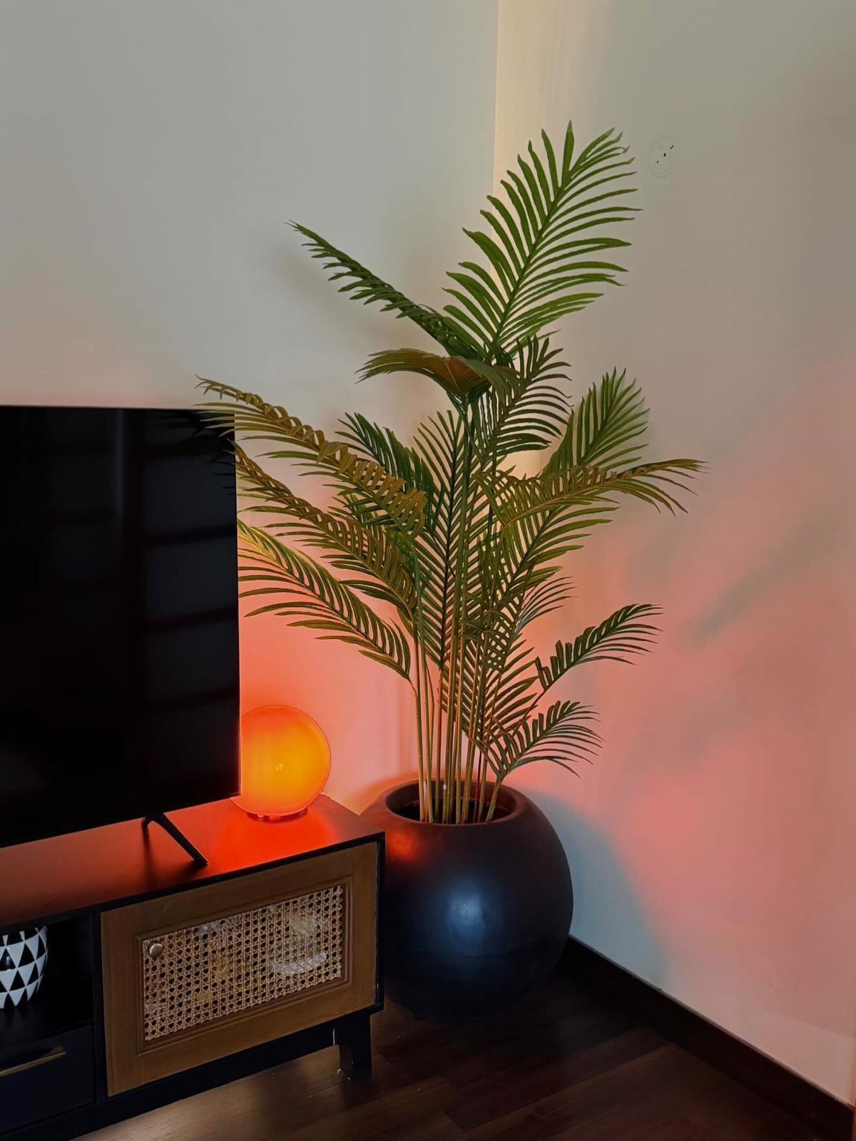 Tall green palm plant in a black pot next to a glowing salt lamp.