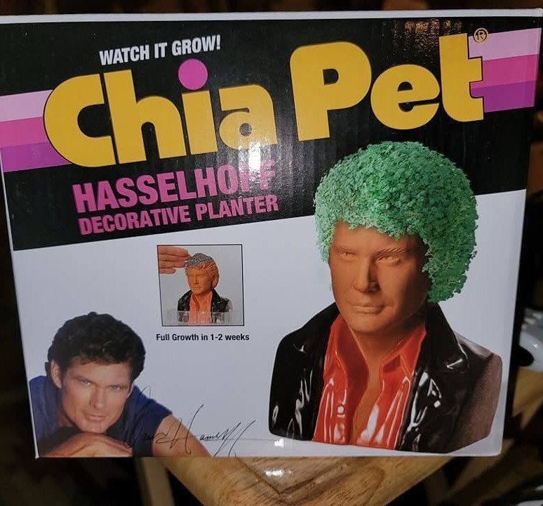 David Hasselhoff Chia Pet decorative planter box with green sprouts as hair.