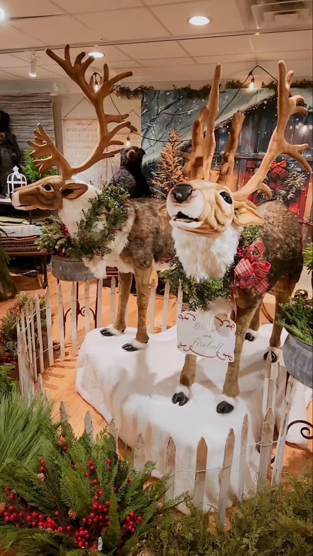 Two decorated reindeer figures standing on faux snow with a white picket fence.
