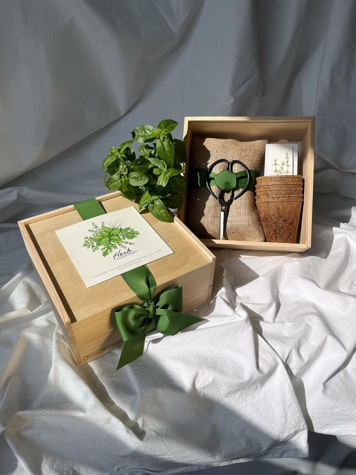 Wooden herb garden gift set with cork pots, scissors, and fresh green herbs.