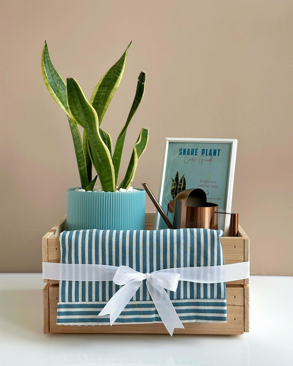 Snake plant in a blue pot with a watering can in a wooden crate.