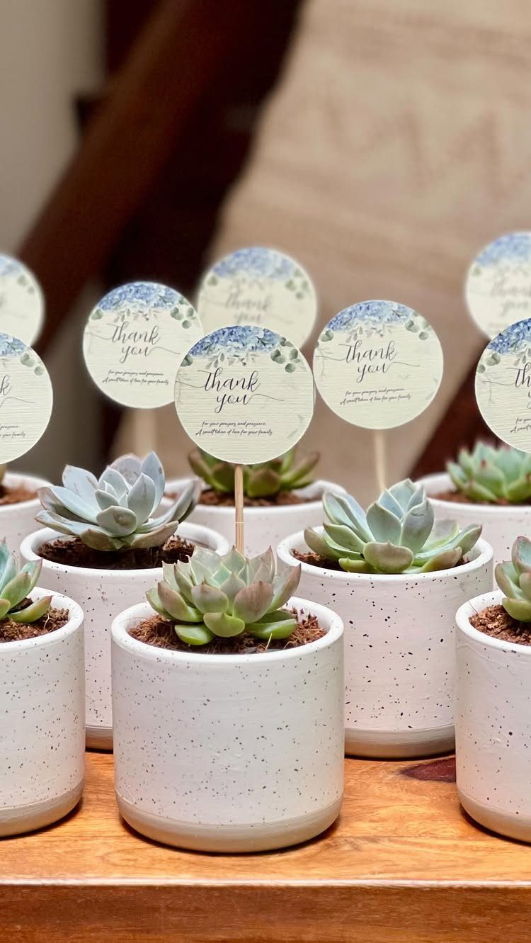 Mini succulents in white speckled pots with circular thank you tags on wood.