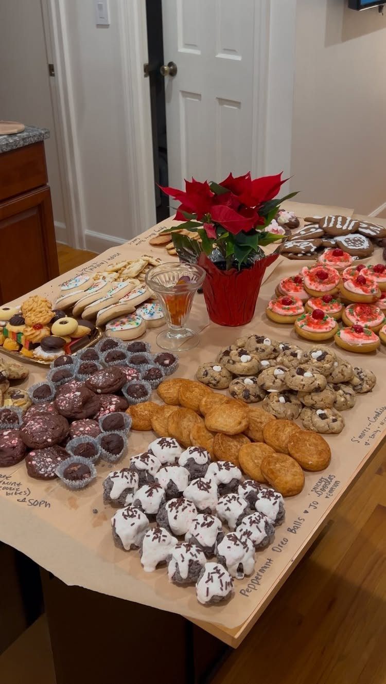 Assorted Christmas cookies and a red poinsettia plant arranged on a parchment-covered table.