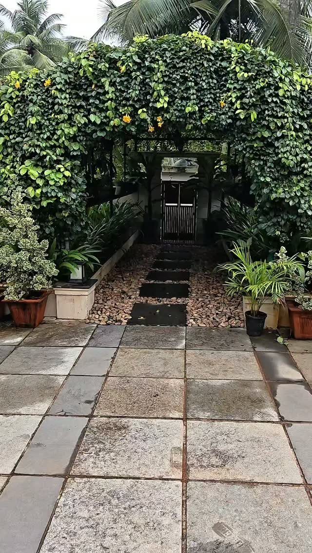 Stepping stone garden path under a lush green vine archway leading to a gate.