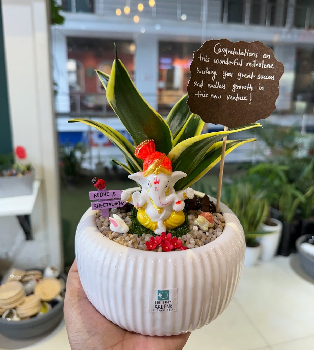 Small variegated houseplant in a white ribbed pot with a Ganesha figurine and card.